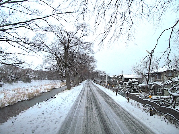 f0178153_2353219.jpg
