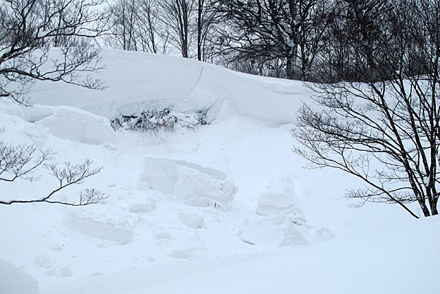 c0116856_184154.jpg