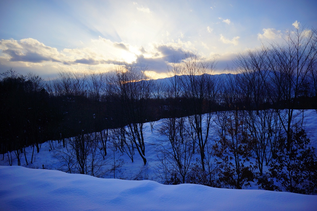 e0223456_1061271.jpg