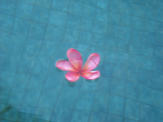 b0162357_1224965.jpg
