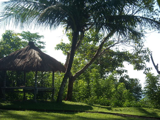 b0162357_12321397.jpg