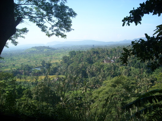 b0162357_12323164.jpg