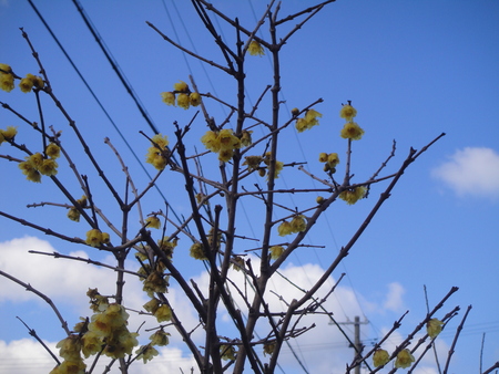 c0108460_17434023.jpg