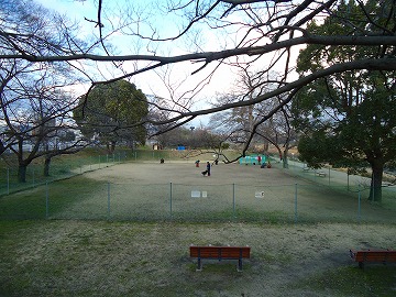 e0002466_17224283.jpg