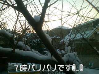 f0061067_8475638.jpg