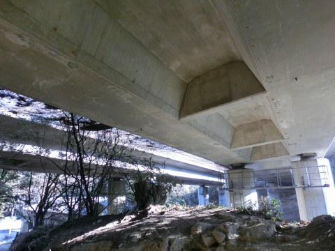 e0045768_21564865.jpg