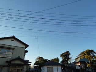 e0278968_2228538.jpg