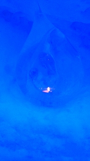f0175369_710358.jpg