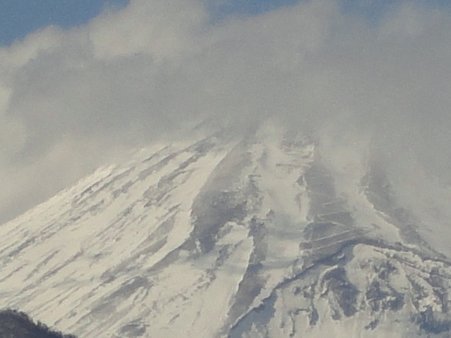 d0109373_08854.jpg