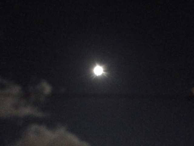 d0109373_2152761.jpg