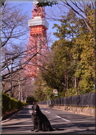 e0099375_2331680.jpg