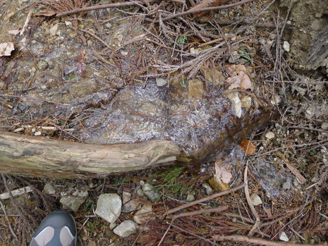 c0019376_21354470.jpg