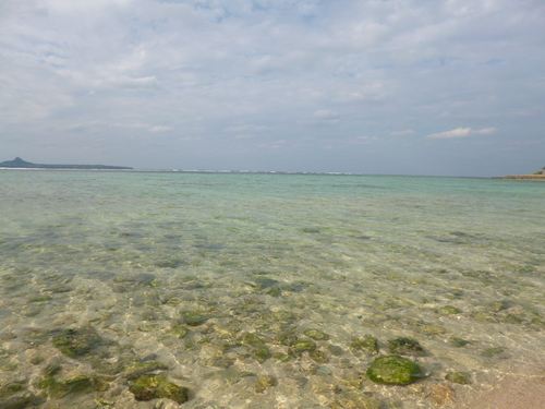 a0224279_12414080.jpg