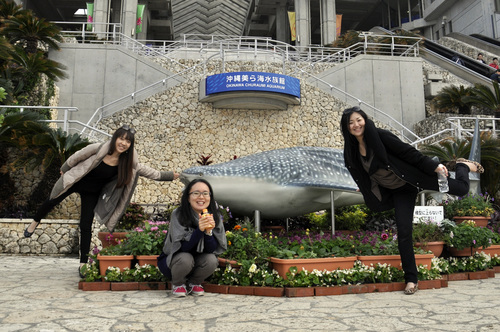a0224279_12582472.jpg