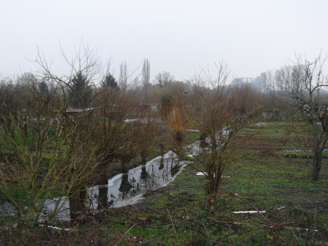 a0247585_330185.jpg