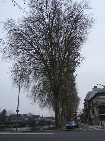 a0247585_3311244.jpg