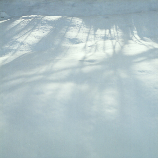 c0160185_1759556.jpg
