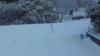 b0245886_13564083.jpg