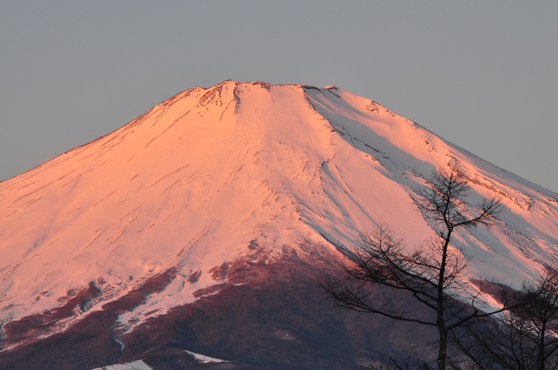 a0045688_1103762.jpg