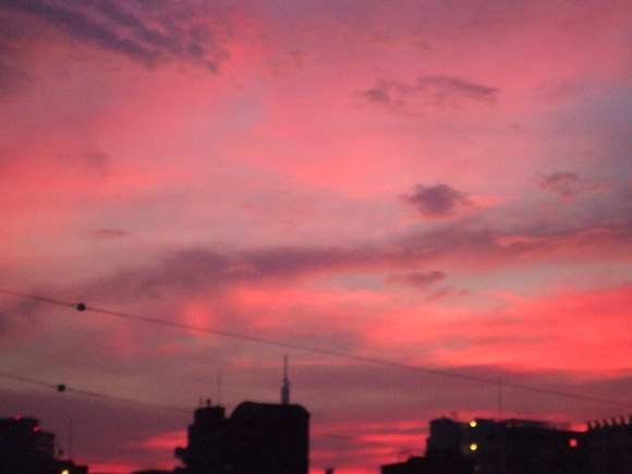 a0186689_2265915.jpg