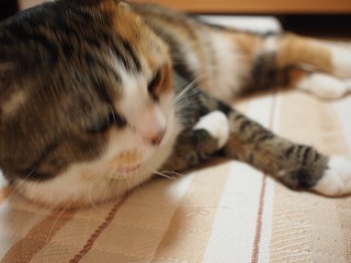 a0152391_20464058.jpg