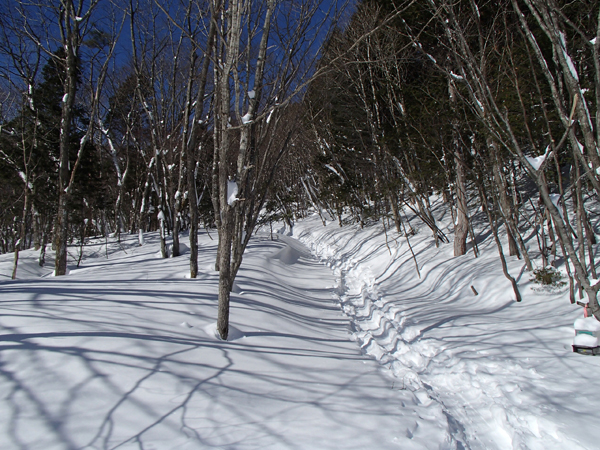 a0043193_2031944.jpg