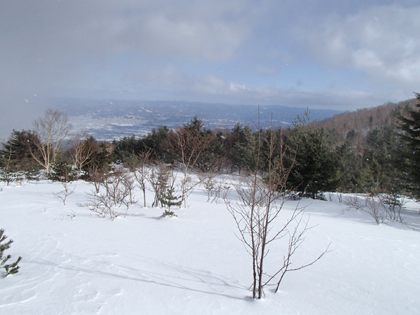 a0043193_203592.jpg