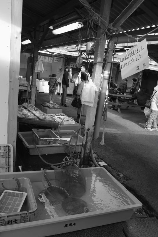 b0138101_19542388.jpg