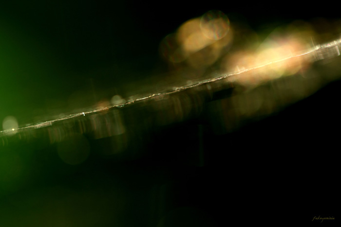 f0185802_111235.jpg