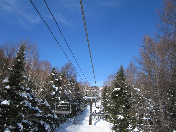 e0022303_1772624.jpg