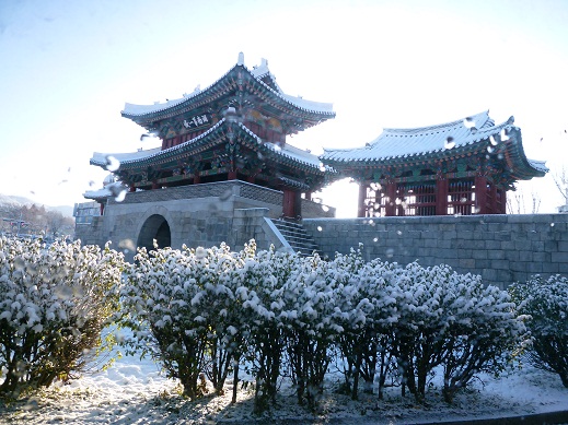 a0140305_2114545.jpg