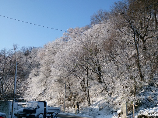 a0140305_2115031.jpg