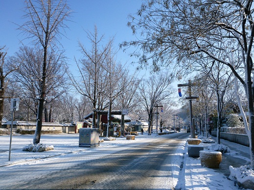 a0140305_216244.jpg