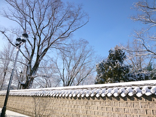 a0140305_2171220.jpg