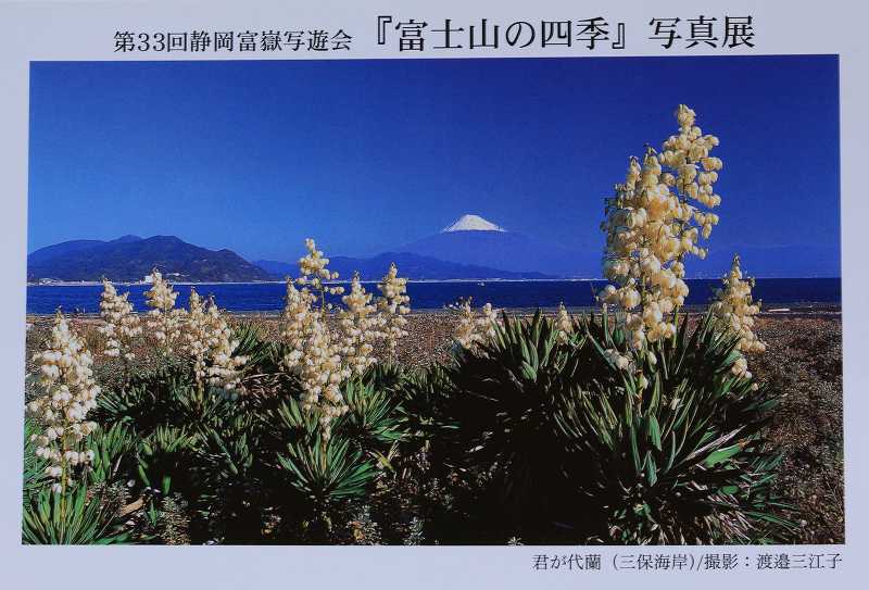 a0188405_8525938.jpg