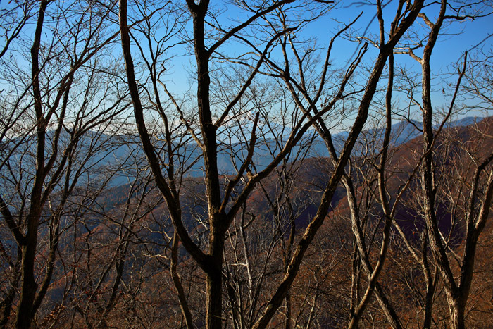 a0148606_23445327.jpg