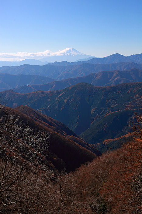 a0148606_23461935.jpg