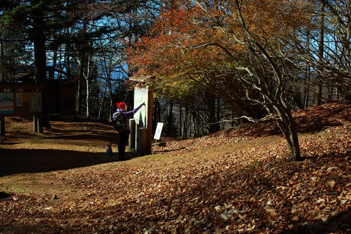 a0148606_23464318.jpg