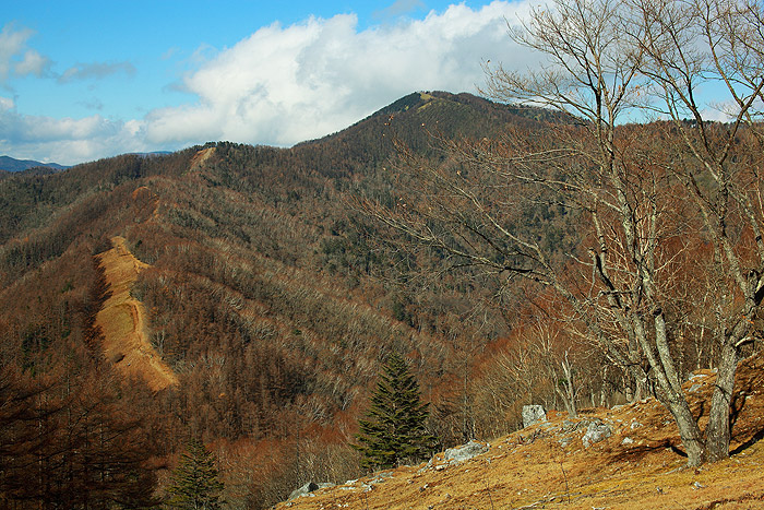 a0148606_23482313.jpg