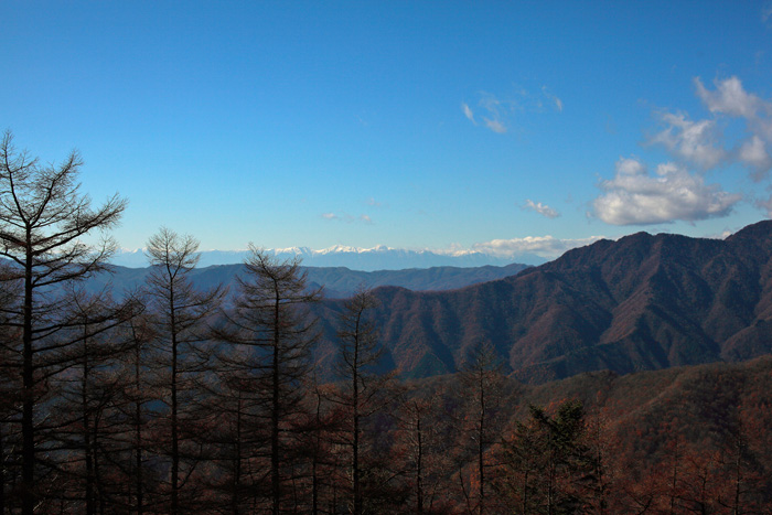 a0148606_2348432.jpg