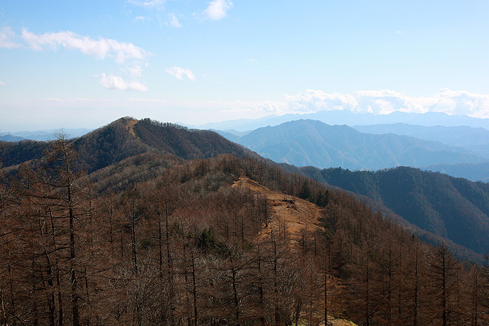 a0148606_23503065.jpg