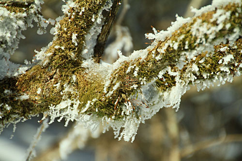 b0014607_1850418.jpg