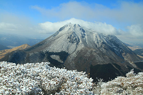 b0014607_1851056.jpg