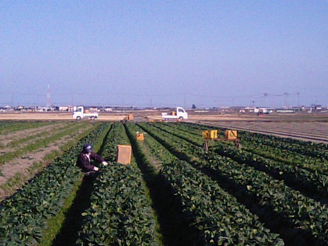 f0231709_12574276.jpg