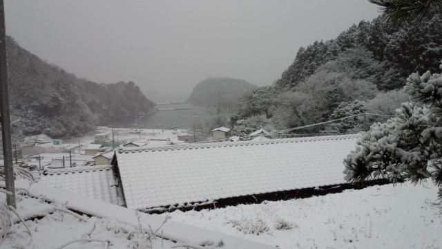 b0219510_17315922.jpg