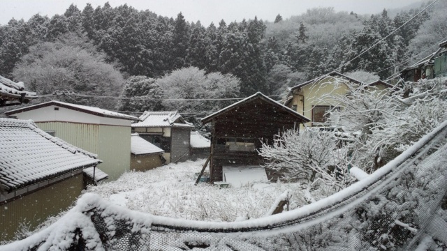 b0219510_17321341.jpg