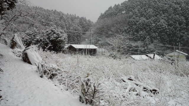 b0219510_1732795.jpg