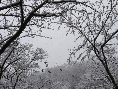 c0186410_9533259.jpg