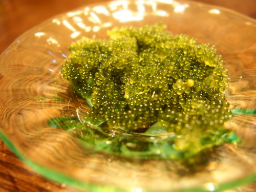 c0206212_8502380.jpg