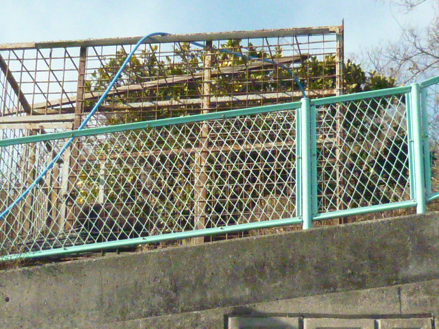 d0178017_10225175.jpg